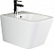 Биде подвесное Ceramica Nova Metric CN3008